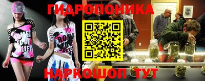 мяу мяу мука Гусиноозёрск