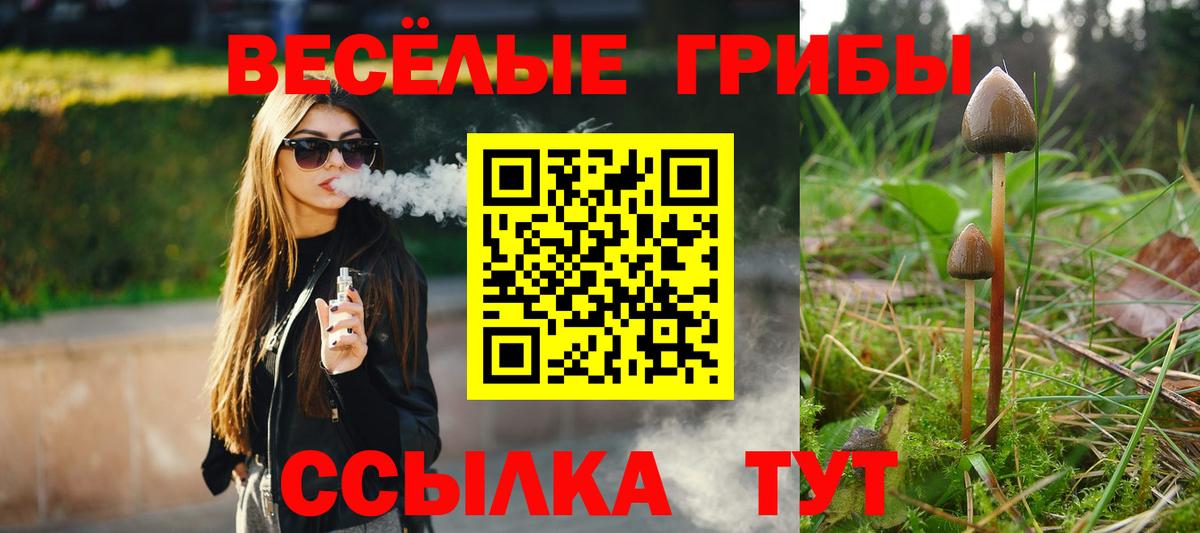 Галлюциногенные грибы MAGIC MUSHROOMS  Псилоцибиновые грибы Magic Shrooms  магазин    Нижний Тагил  Вход с VPN 
